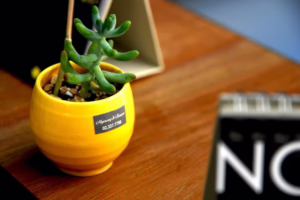 mini plantjes