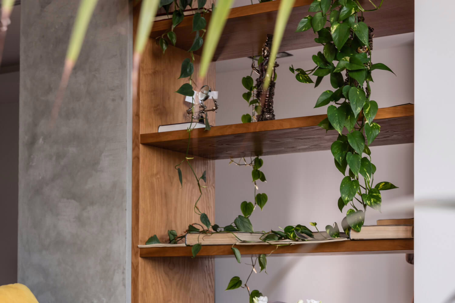 hangplanten stekken