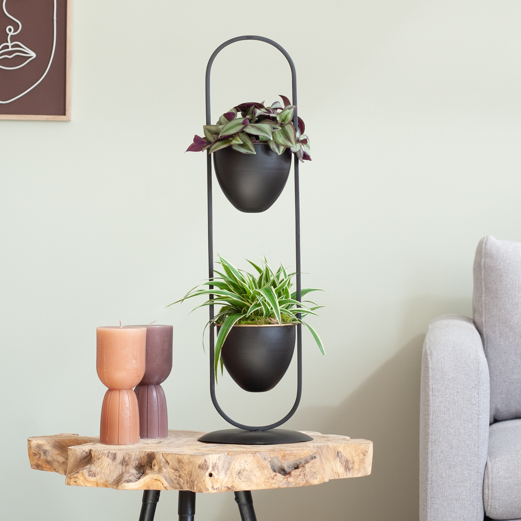 Plantenstandaard inclusief planten