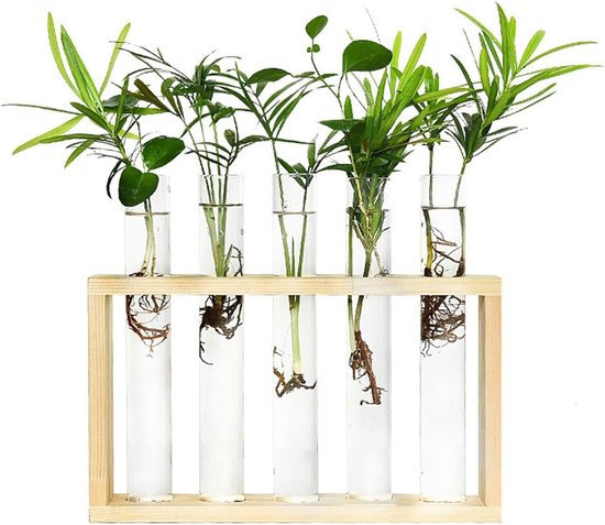 Stekstation met 5+1 reageerbuisjes - hout - met borsteltje en ophangsysteem | stek station - vaasjes - glaasjes - set - hydroponie - hydrocultuur - stekjes - droogbloemen